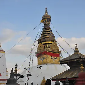 https://stupa-view-inn.hotels-kathmandu.com